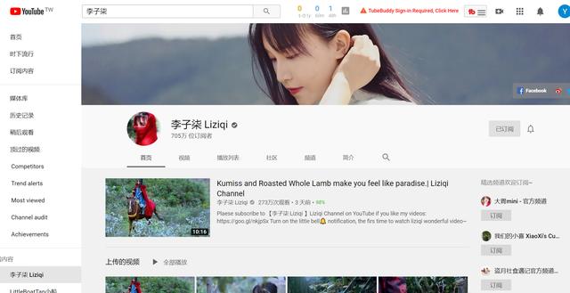 Youtube广告收益#李子柒的Youtube广告月入超70万美金，你咋还不行动？2